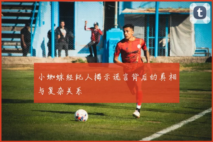 小蜘蛛经纪人揭示谎言背后的真相与复杂关系