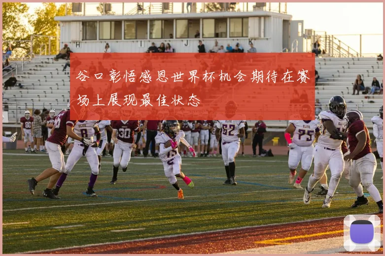 谷口彰悟感恩世界杯机会期待在赛场上展现最佳状态